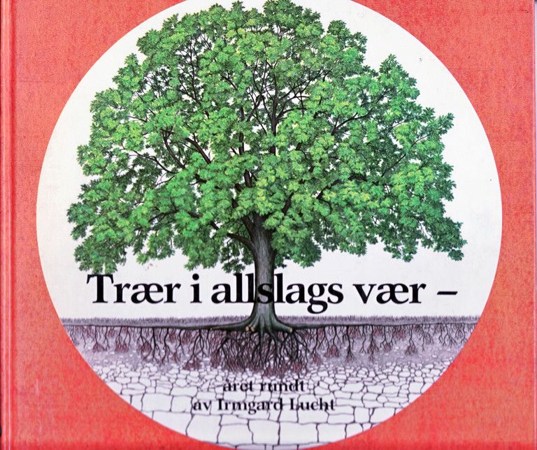 Trær i allslags vær