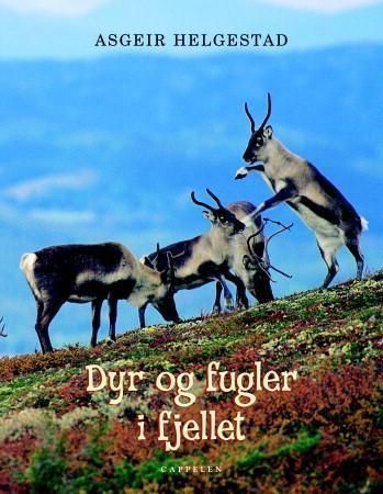 Dyr og fugler i fjellet