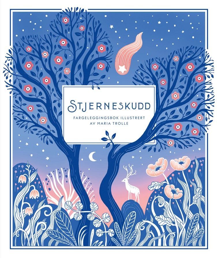 Stjerneskudd