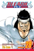 Bleach. vol. 28. Baron's lecture full-course