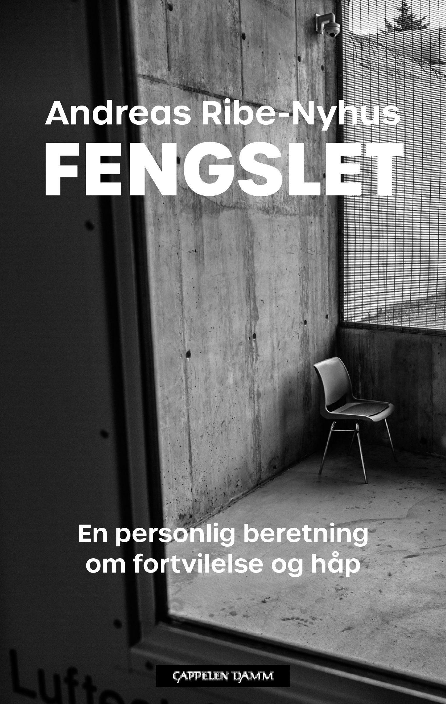 Fengslet : en personlig beretning om fortvilelse og håp