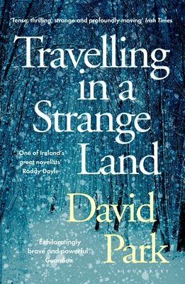 Travelling in a Strange Land : Winner of the Kerry Group Irish Novel of the Year