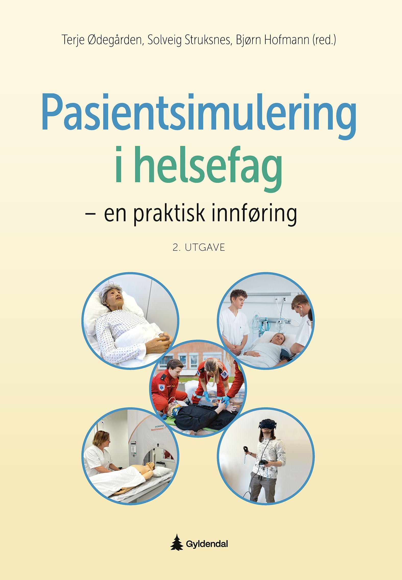 Pasientsimulering i helsefag : en praktisk innføring