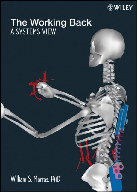 The Working Back : A Systems View