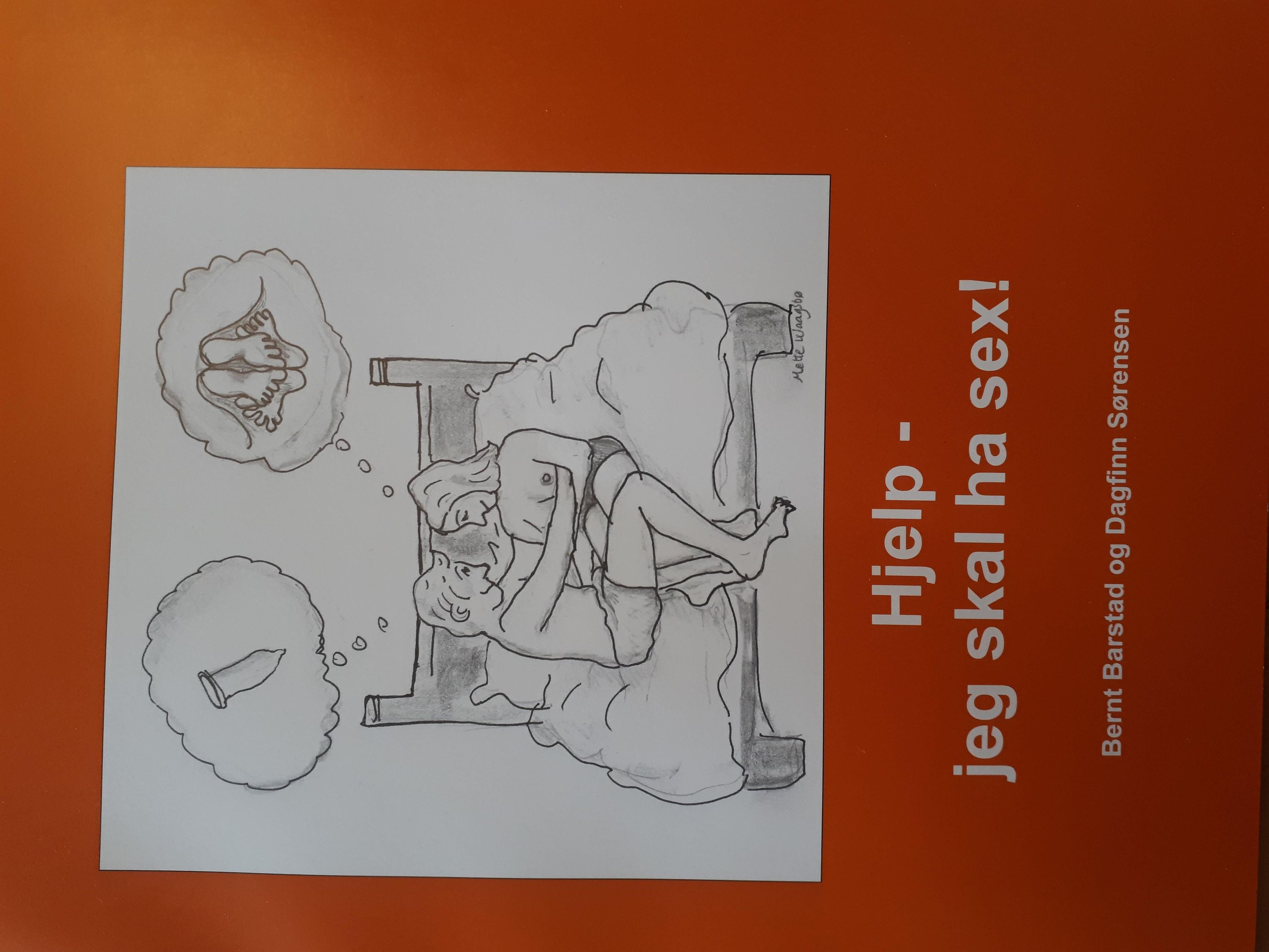 Hjelp - jeg skal ha sex!