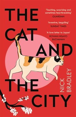 The cat and the city