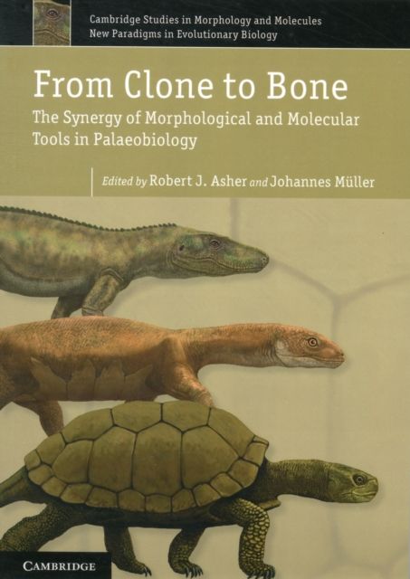 From Clone to Bone : The Synergy of Morphological and Molecular Tools in Palaeobiology