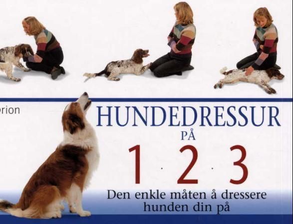 Hundedressur på 1, 2, 3 : den enkle måten å dressere hunden din på
