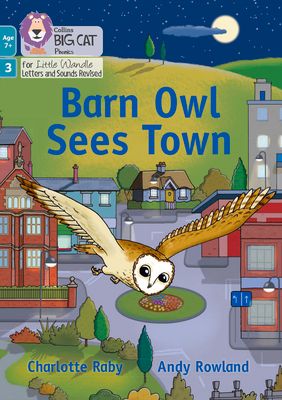 Barn Owl Sees Town : Phase 3 Set 1 Blending Practice