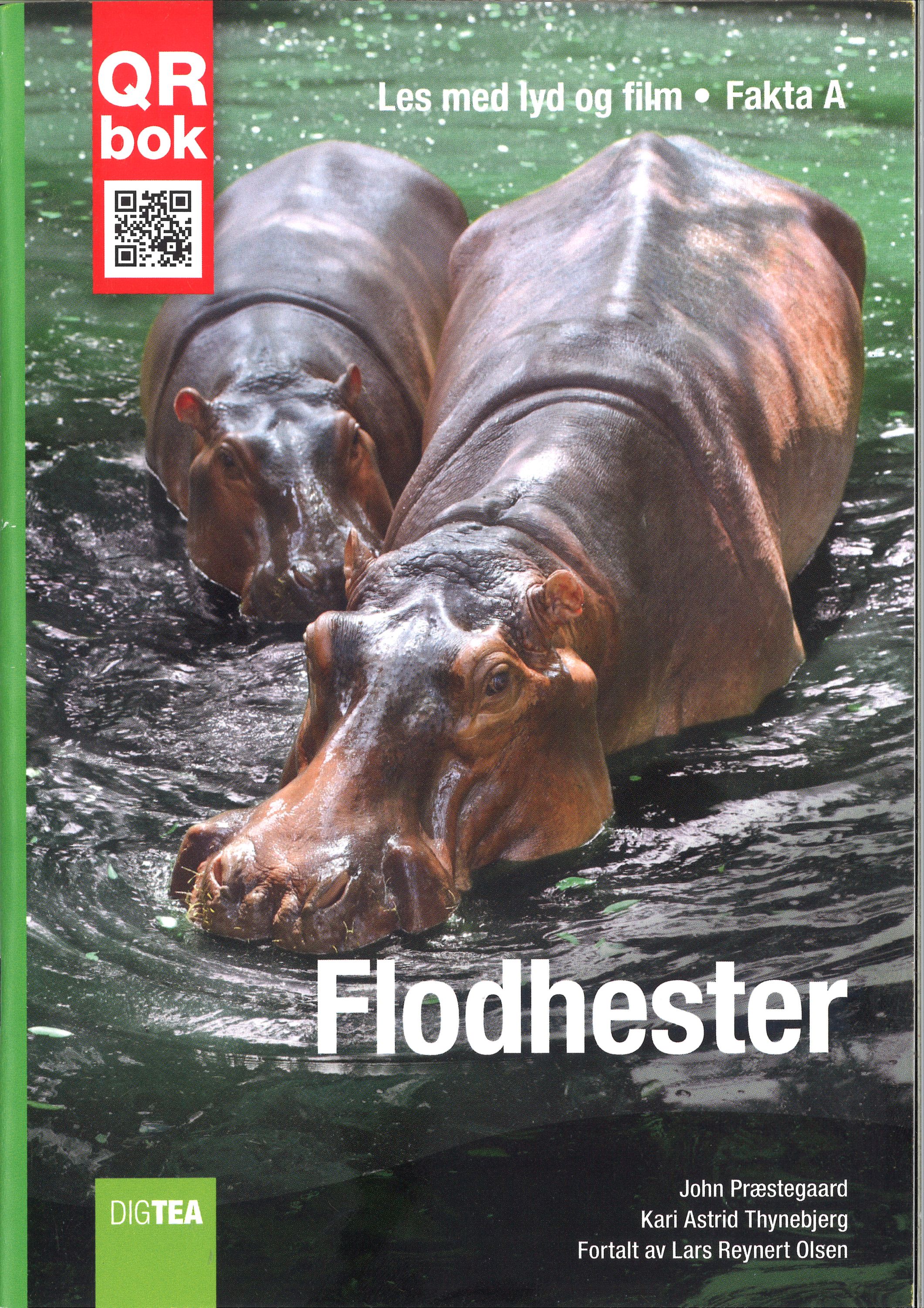 Flodhester