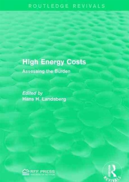 High Energy Costs : Assessing the Burden
