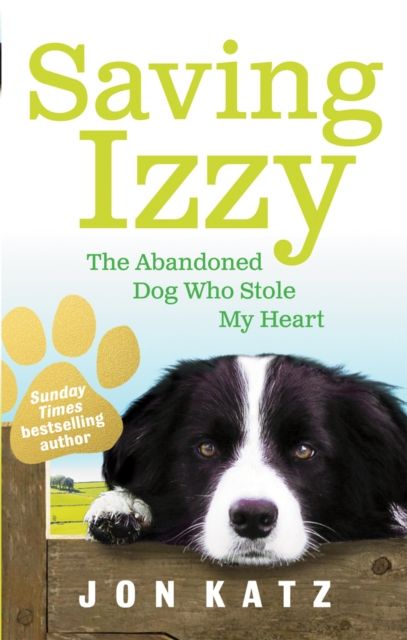 Saving Izzy : The Abandoned Dog Who Stole My Heart
