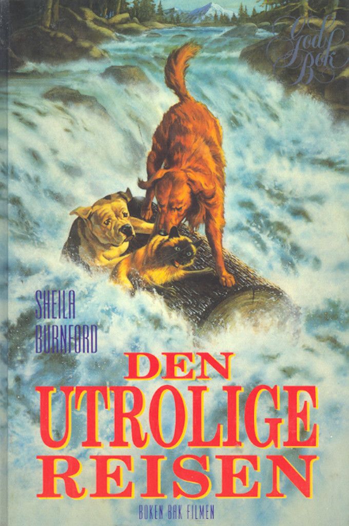 Den utrolige reisen