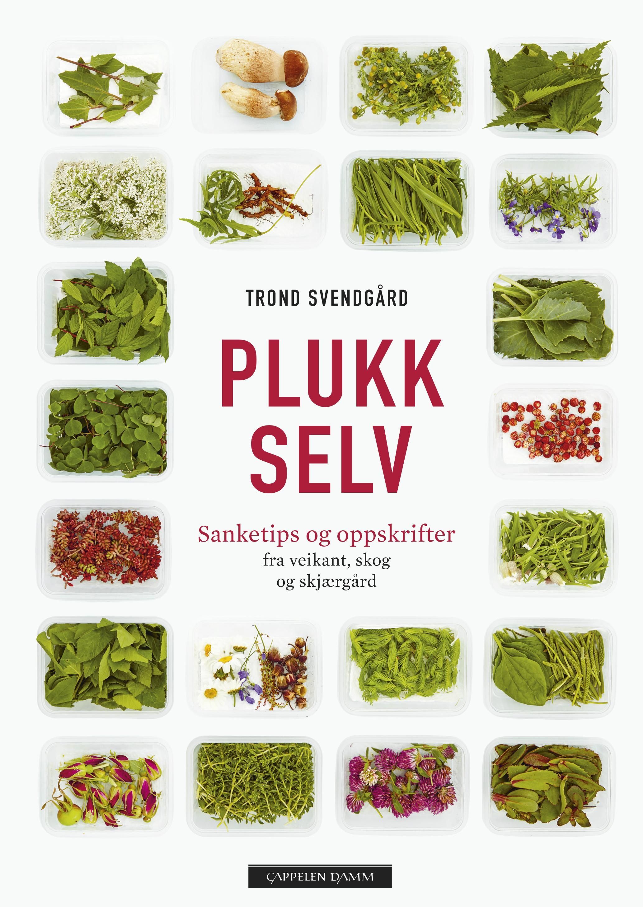 Plukk selv : sanketips og oppskrifter : fra veikant, skog og skjærgård