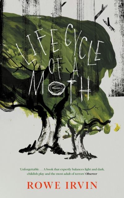 Life cycle of a moth