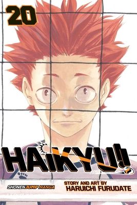 Haikyu!!. 20. Particular
