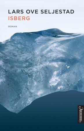 Isberg : roman