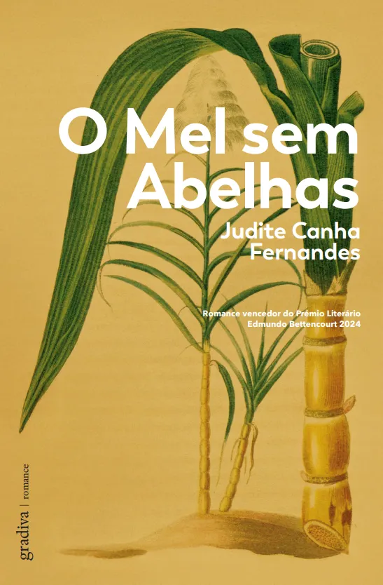 Forsidebilde av O mel sem abelhas