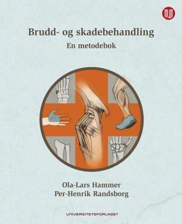 Forsidebilde av Brudd- og skadebehandling : en metodebok