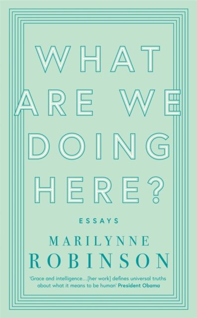 What are we doing here? : essays