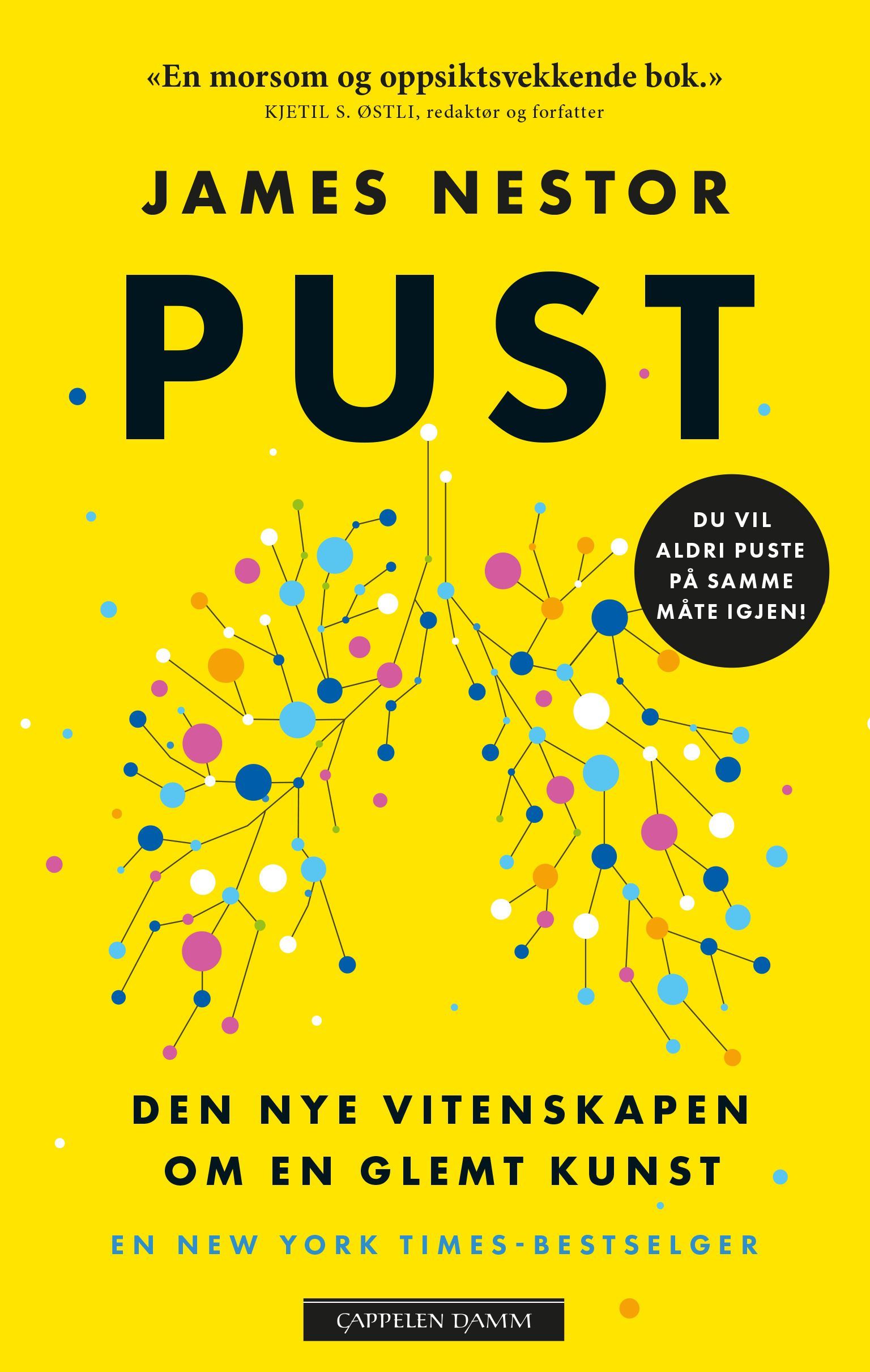 Pust : den nye vitenskapen om en glemt kunst