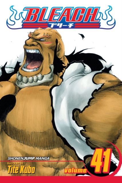 Bleach. vol. 41. Heart