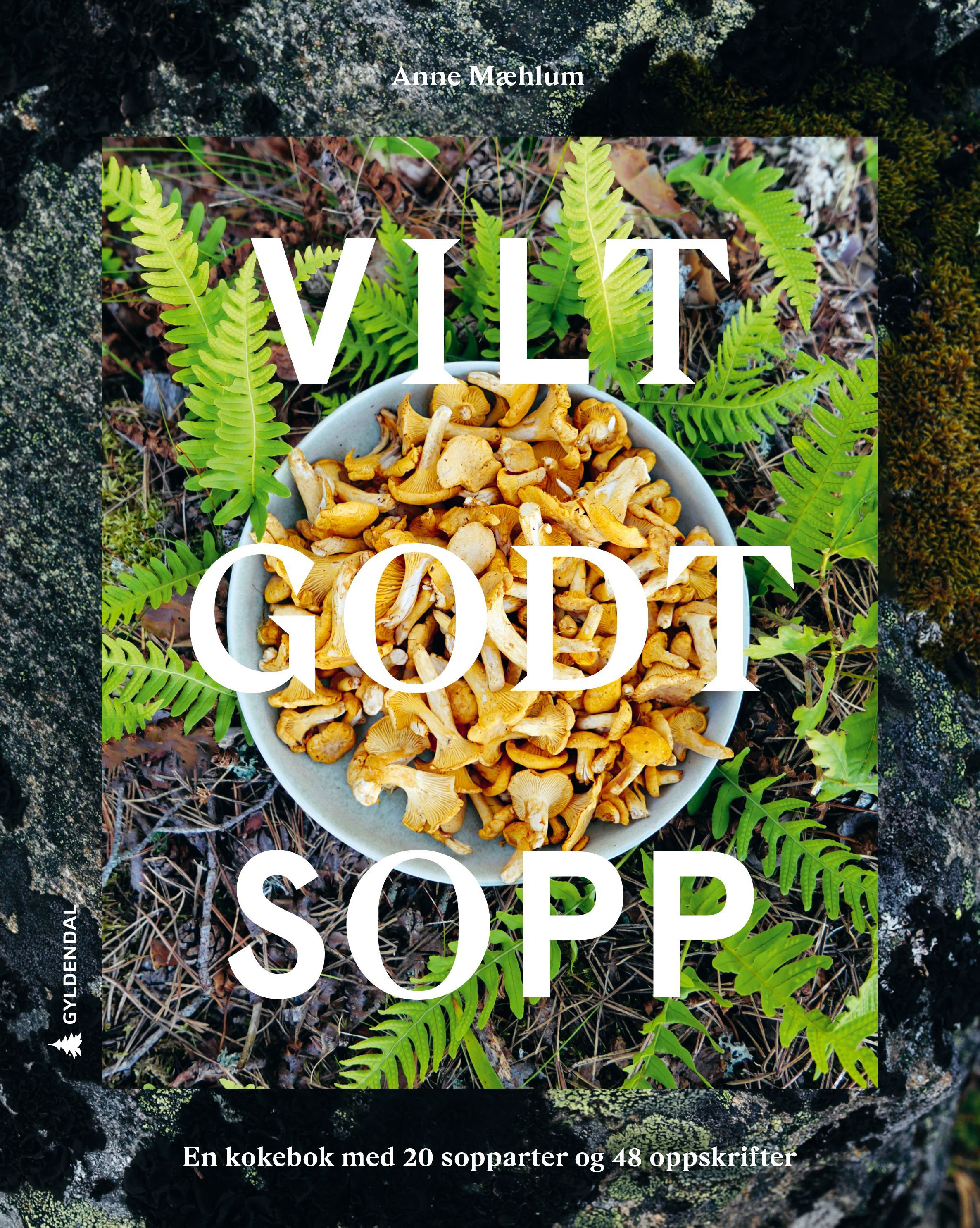 Vilt godt sopp : en kokebok med 20 sopparter og 48 oppskrifter