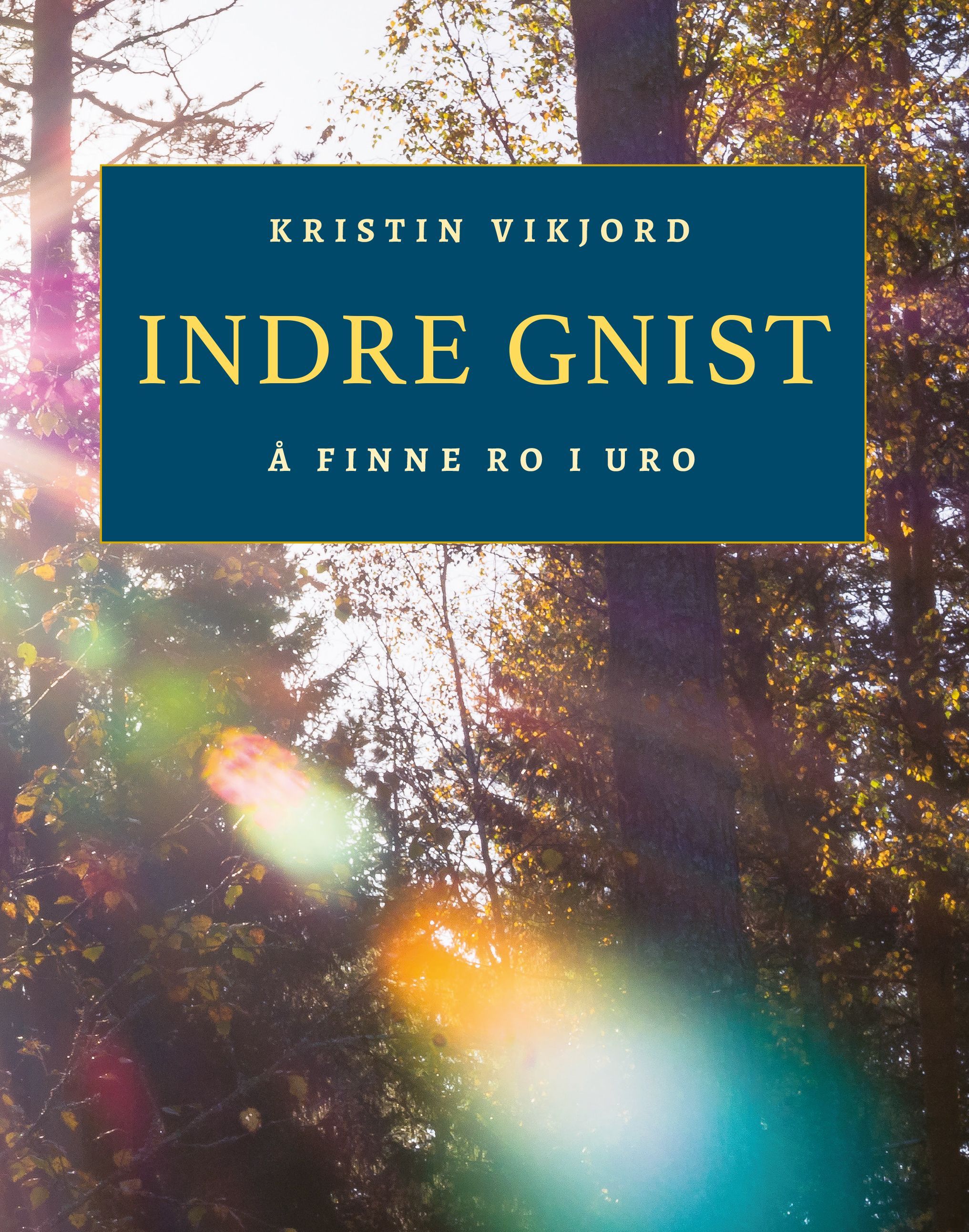 Indre gnist : å finne ro i uro