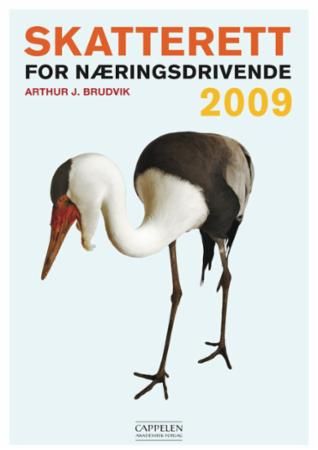 Skatterett for næringsdrivende