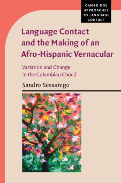 Language Contact and the Making of an Afro-Hispanic Vernacular : Variation and Change in the Colombian Choco