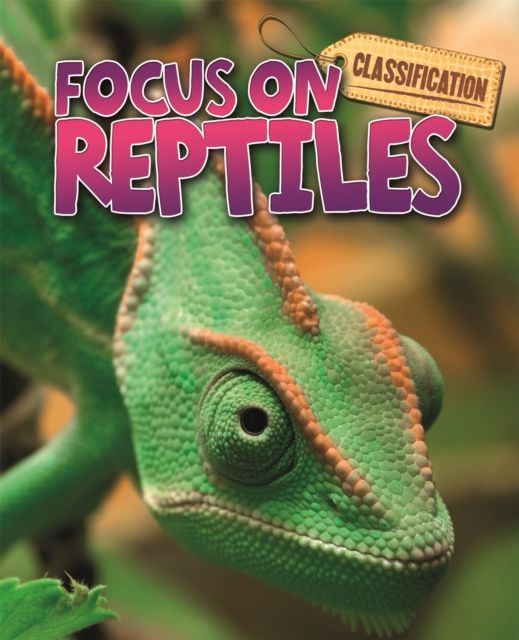 Focus on reptiles