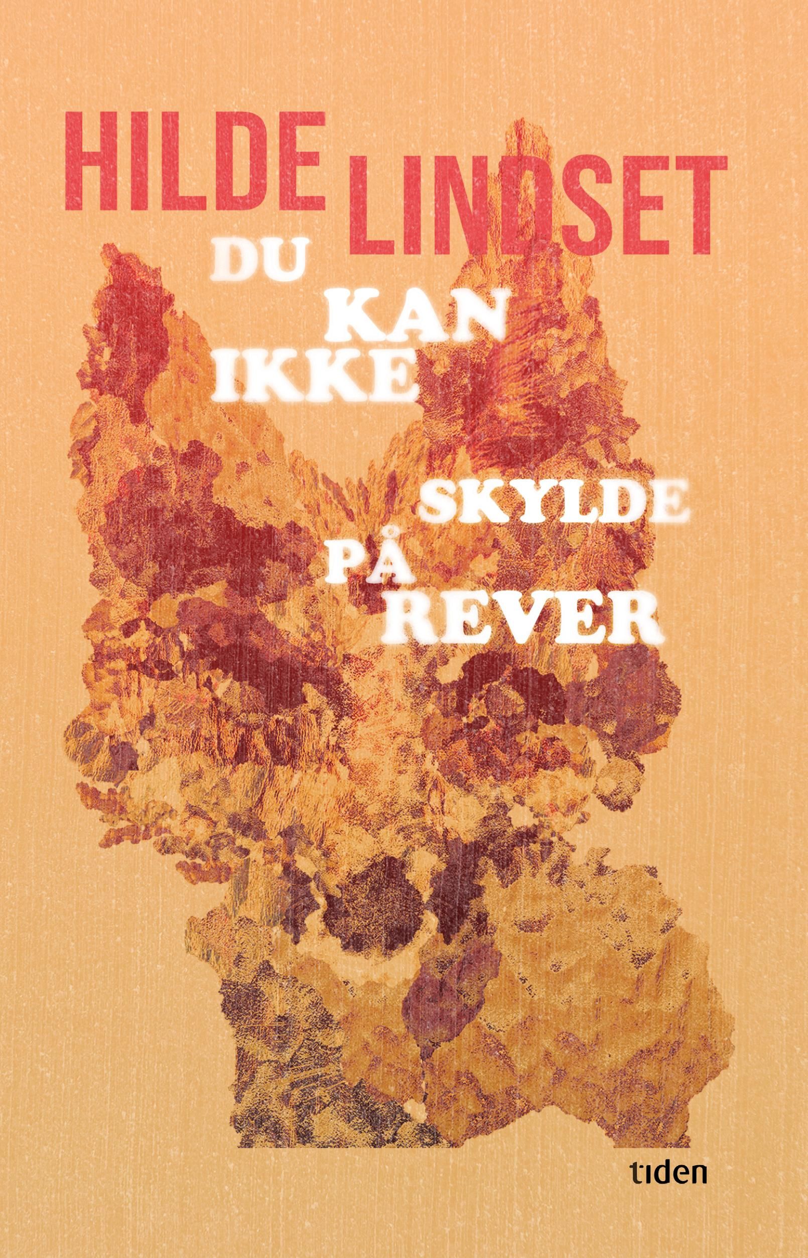Du kan ikke skylde på rever : roman