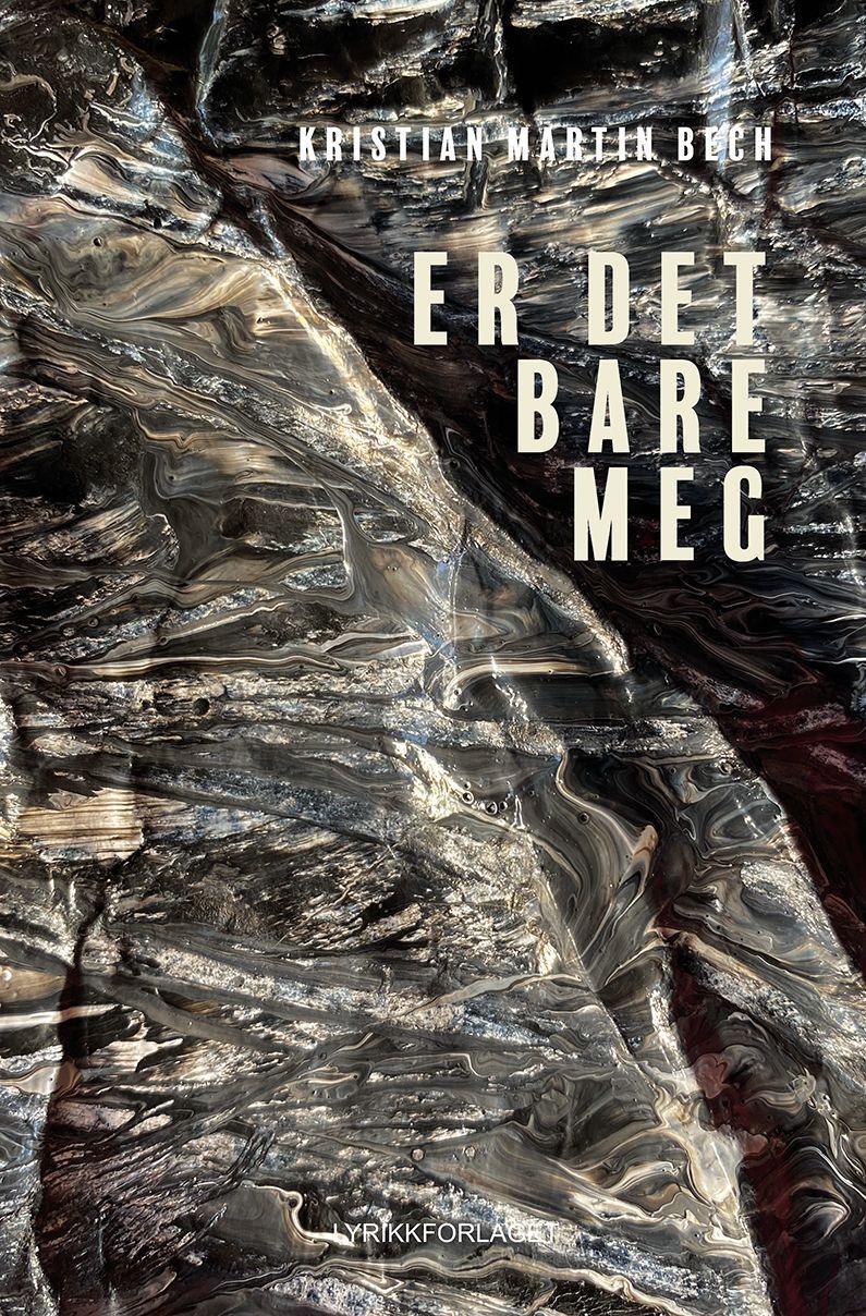 Forsidebilde av Er det bare meg