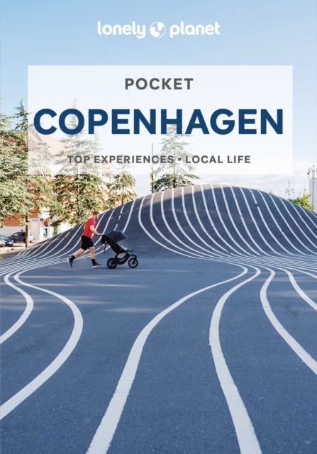 Pocket Copenhagen : top experiences, local life