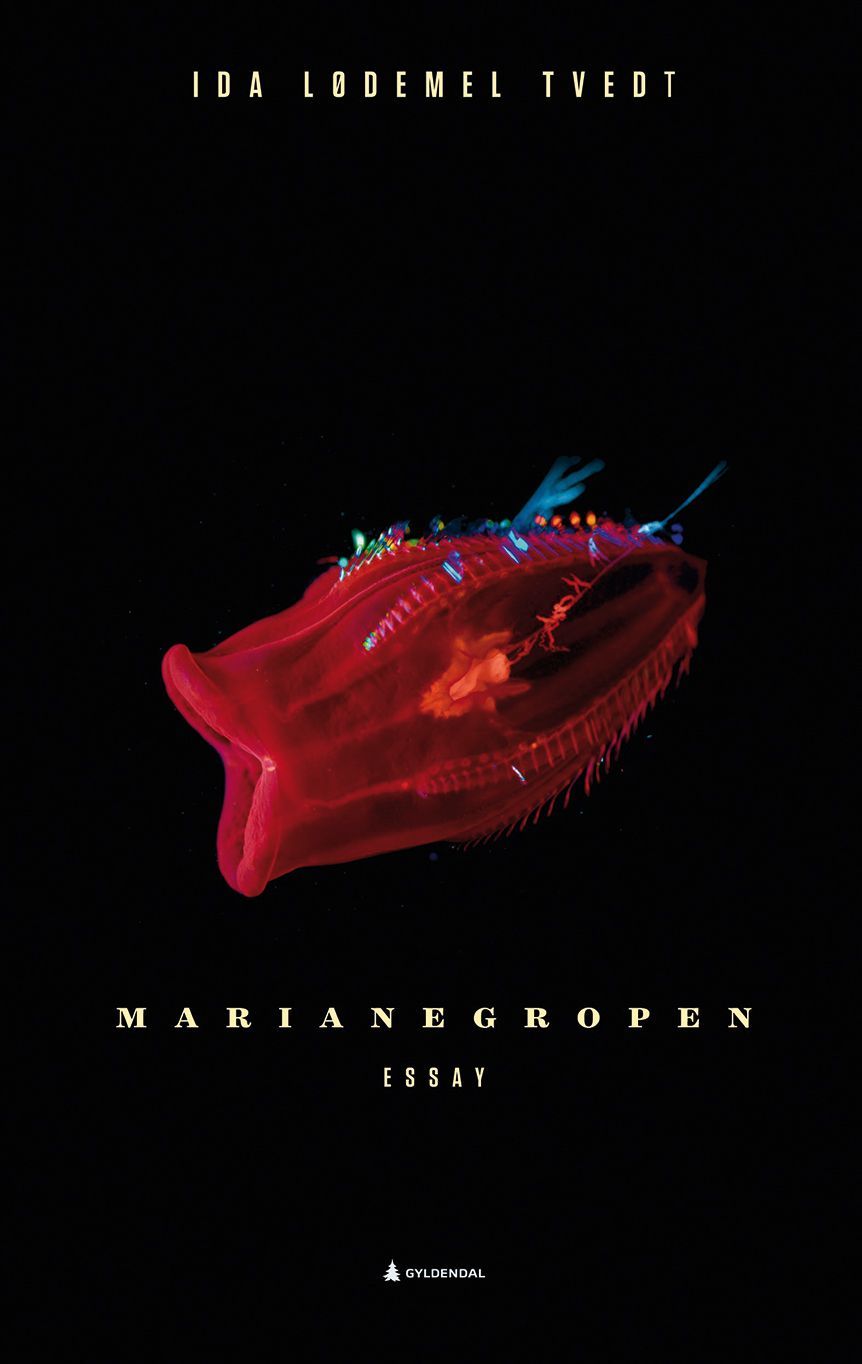 Forsidebilde av Marianegropen : essay