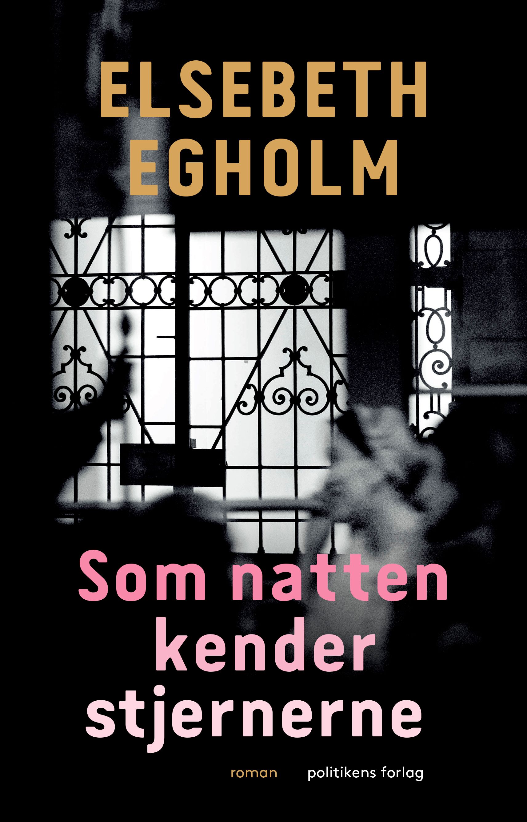 Som natten kender stjernerne : roman