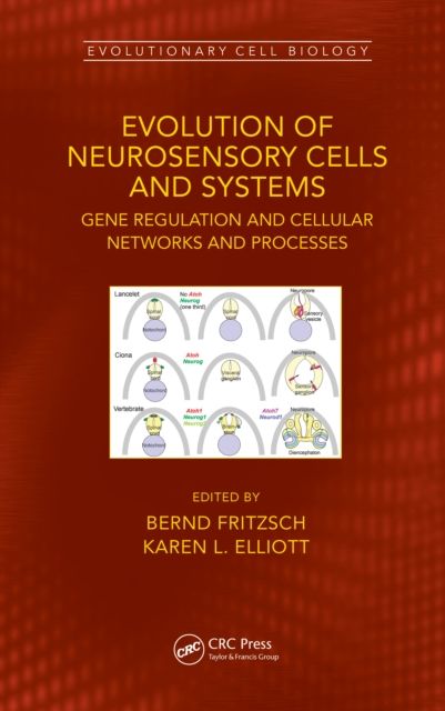 Evolution of Neurosensory Cells and Systems : Gene regulation and cellular networks and processes