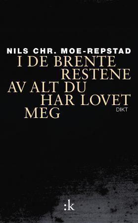 I de brente restene av alt du har lovet meg : dikt