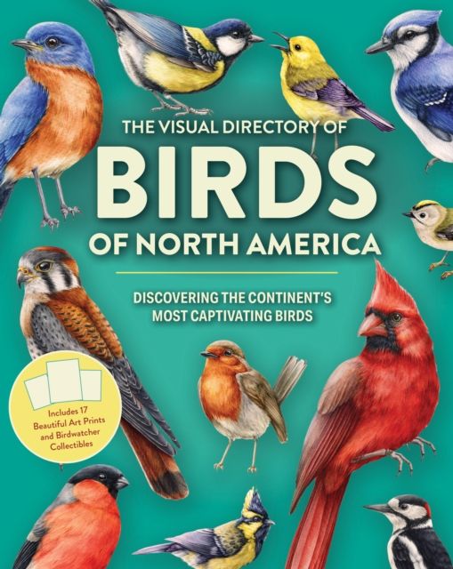 The Visual Directory of Birds of North America : Discovering the Continent’s Most Captivating Birds