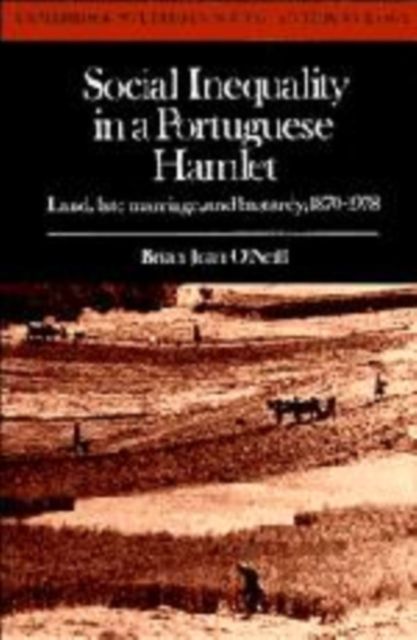 Social Inequality in a Portuguese Hamlet : Land, Late Marriage, and Bastardy, 1870-1978