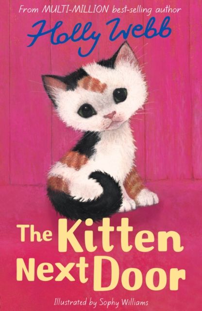 The kitten next door