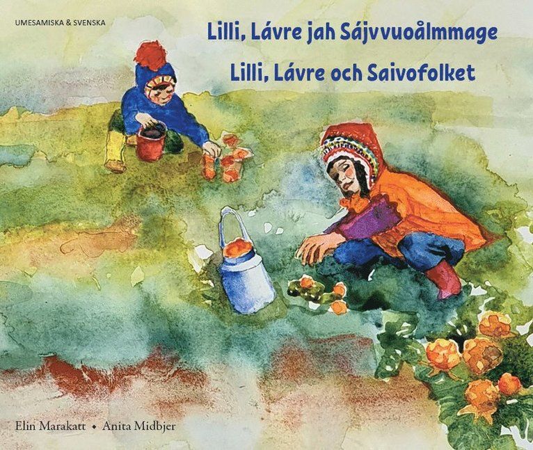 Lilli, Lávre jah Sájvvuoålmmage