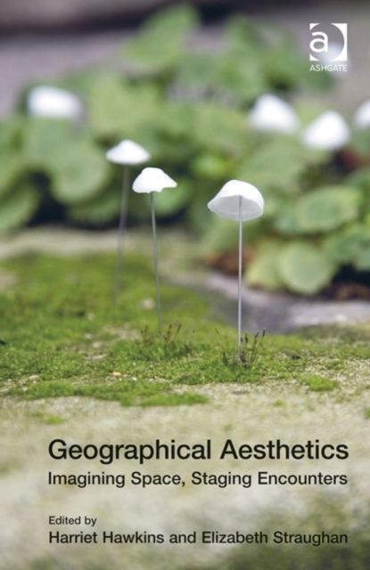 Geographical Aesthetics : Imagining Space, Staging Encounters