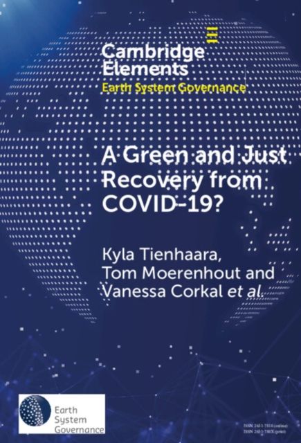 A Green and Just Recovery from COVID-19? : Government Investment in the Energy Transition during the Pandemic