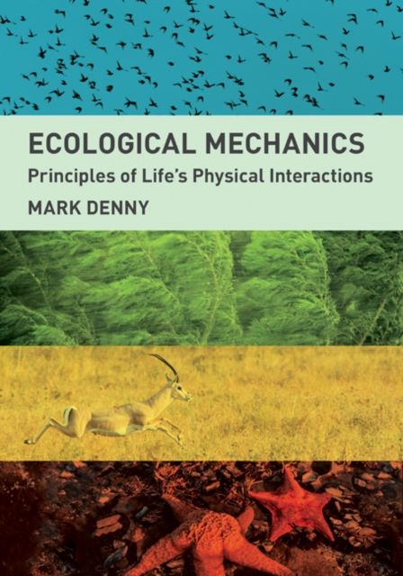 Ecological Mechanics : Principles of Life's Physical Interactions