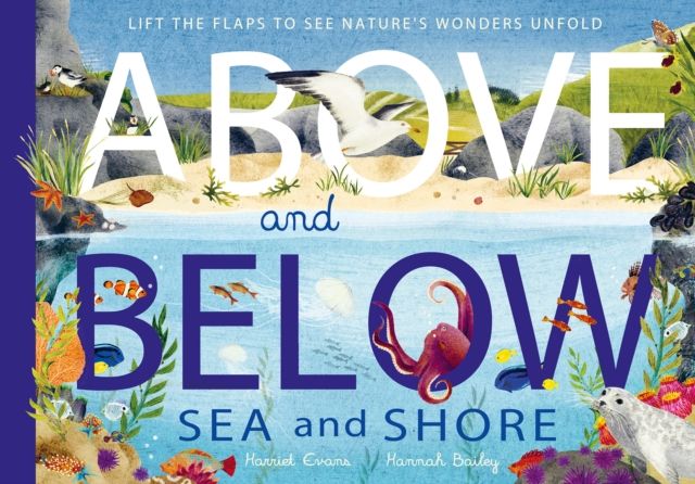 Above and below : sea and shore