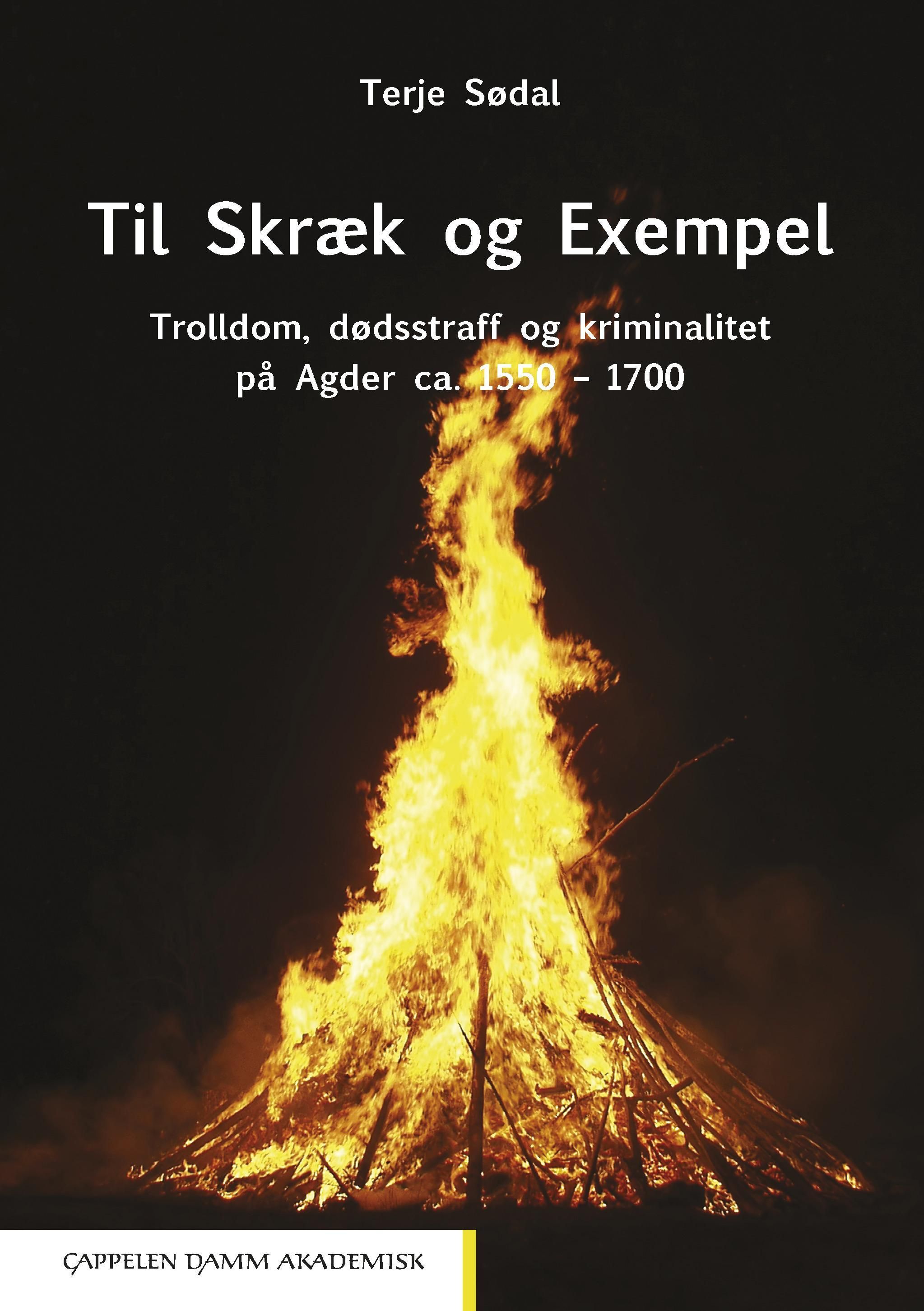 Til skræk og exempel : trolldom, dødsstraff og kriminalitet på Agder ca. 1550-1700