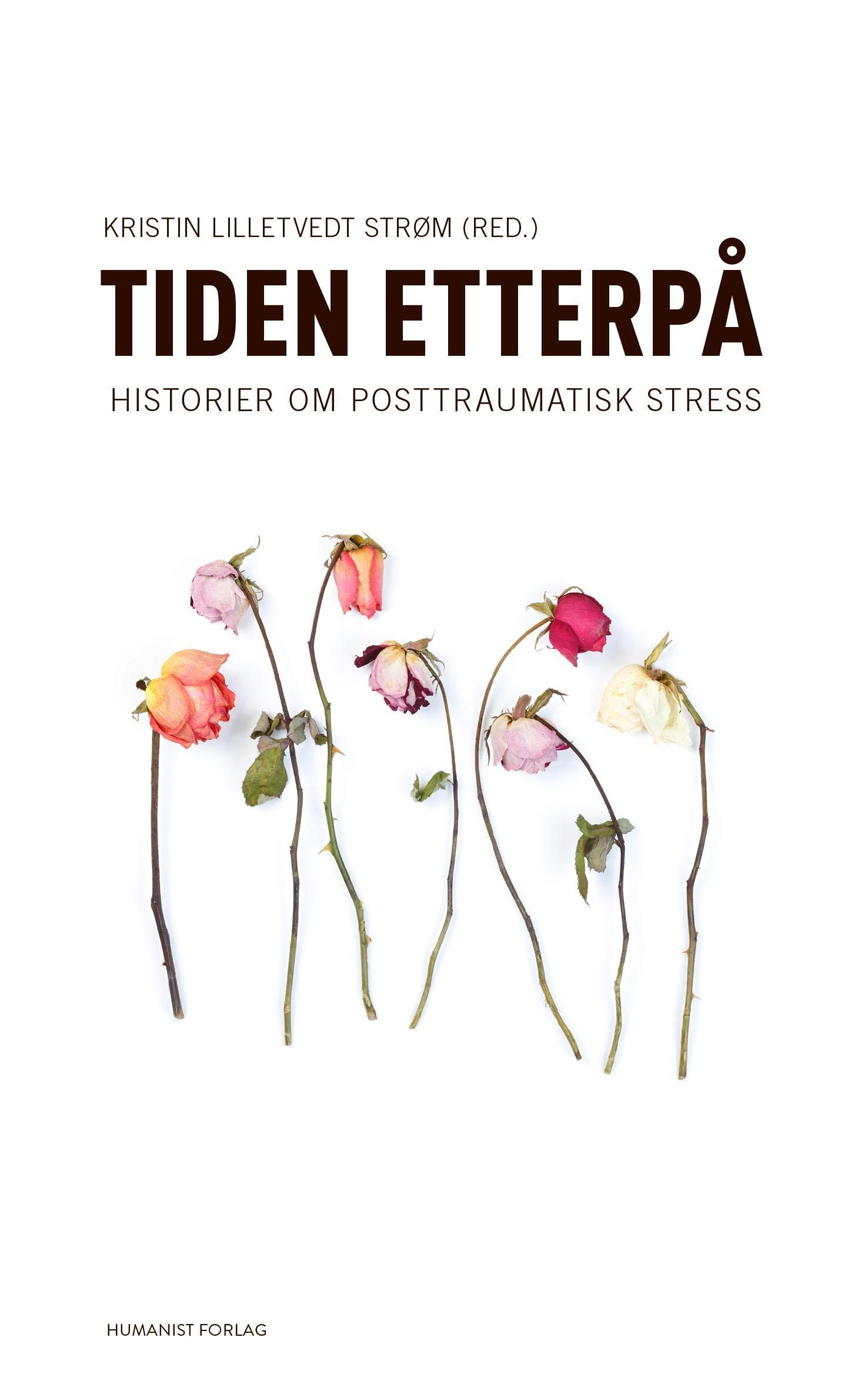 Tiden etterpå : historier om posttraumatisk stress