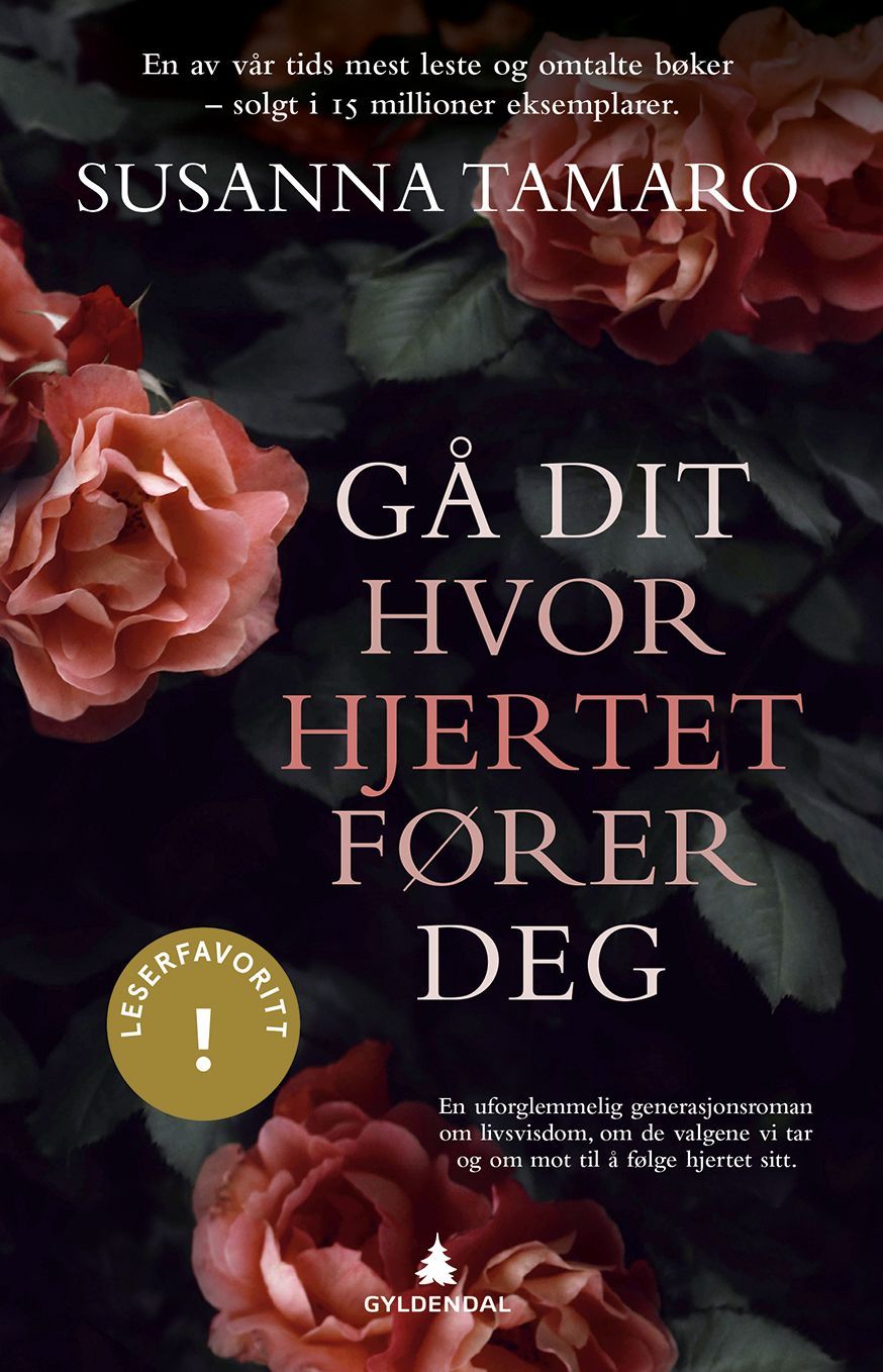 Gå dit hvor hjertet fører deg : roman