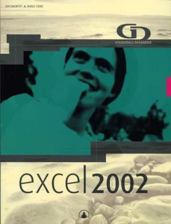 Excel 2002 : datakortet mous core